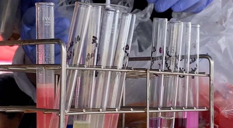 BPOM sidak takjil di Kupang, nyatakan aman konsumsi